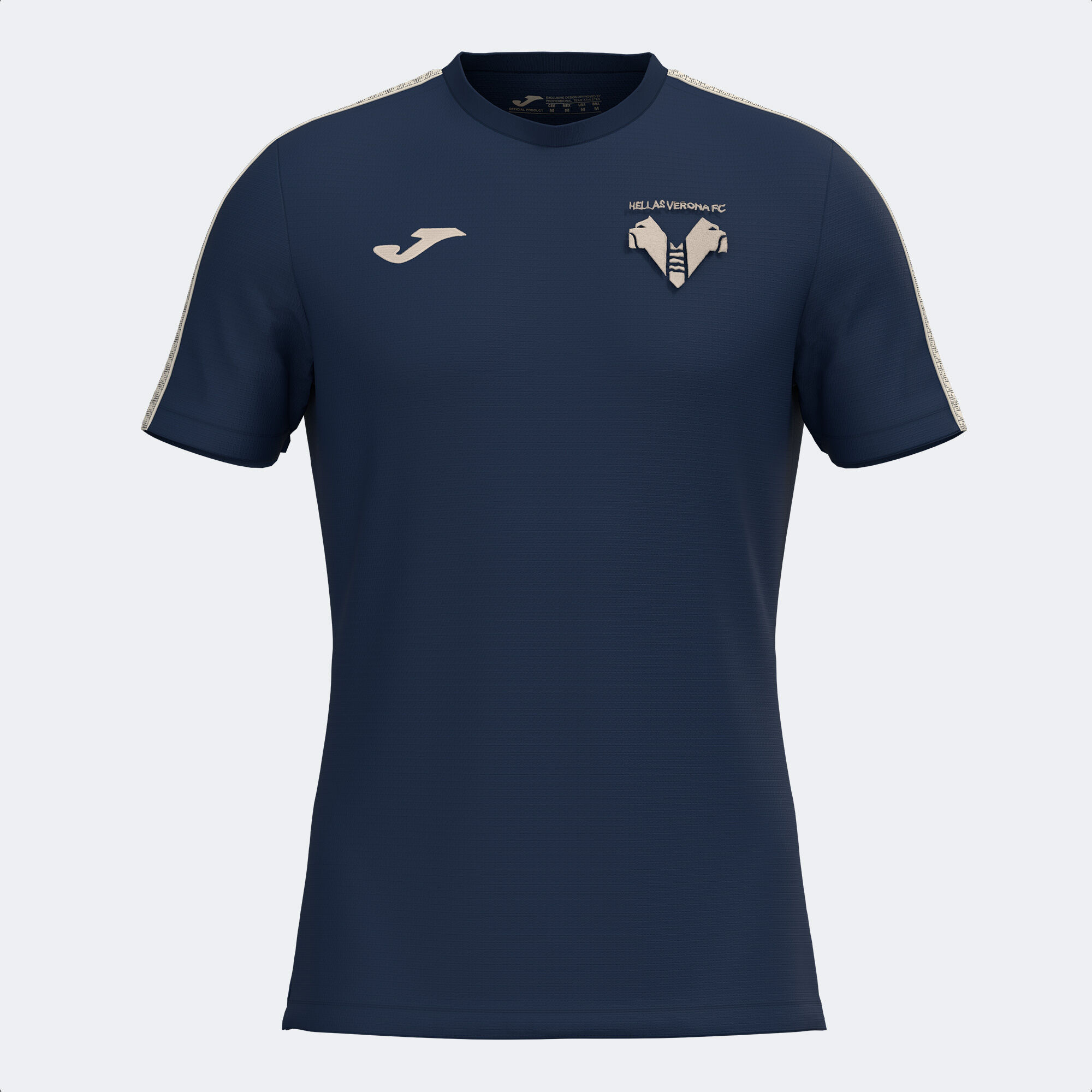 Camiseta manga corta staff técnico paseo Hellas Verona FC 24/25