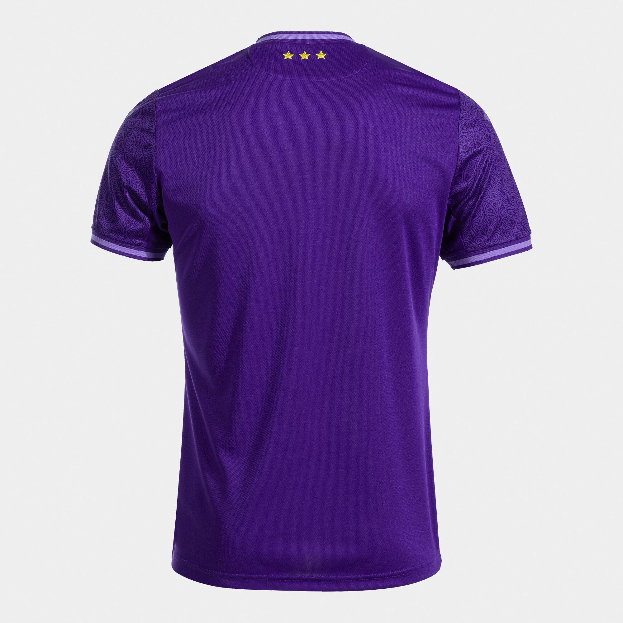 CAMISETA MANGA CORTA COMP. OFI. ANDERLECHT